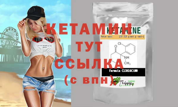 индика Инсар