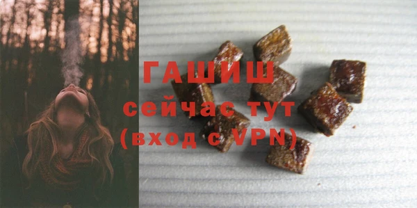 индика Инсар