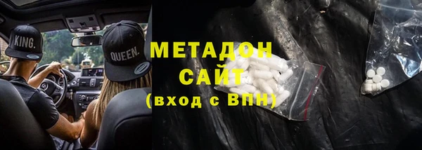 индика Инсар