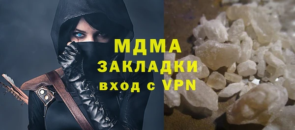 индика Инсар