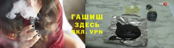 индика Инсар
