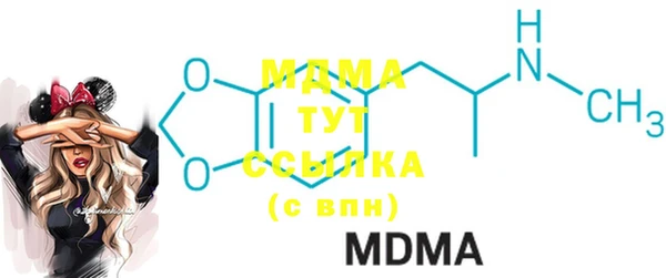 индика Инсар