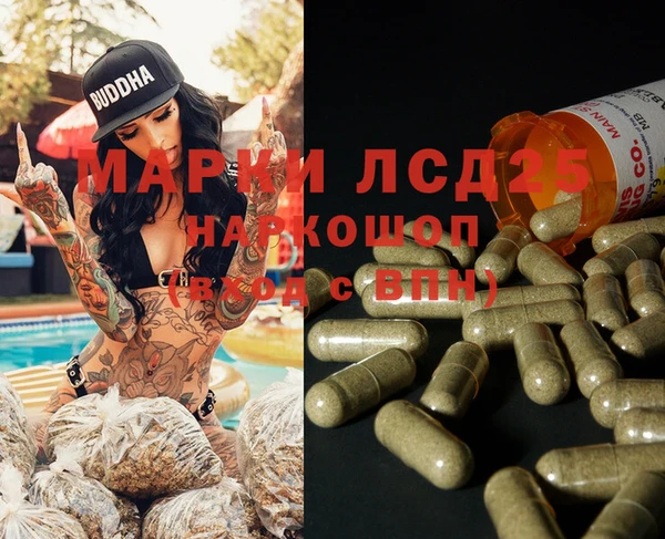 индика Инсар