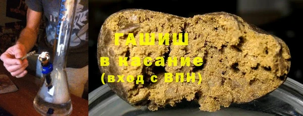 индика Инсар