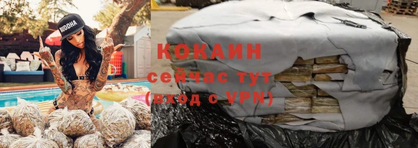 индика Инсар