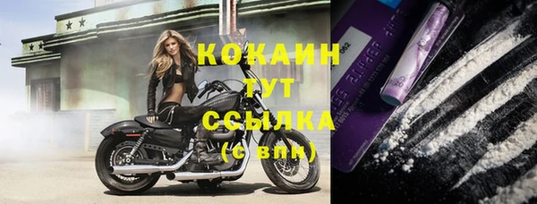 индика Инсар