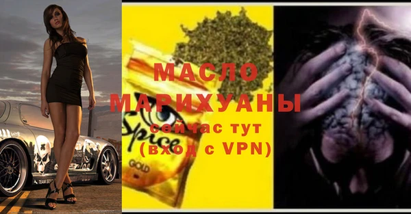 индика Инсар