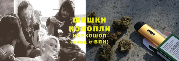 индика Инсар