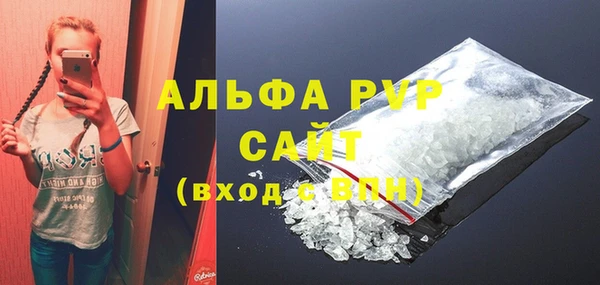 индика Инсар