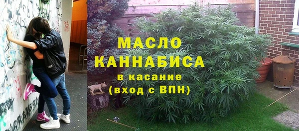 индика Инсар