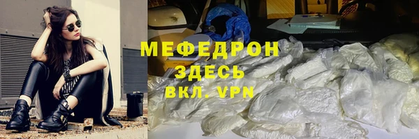 индика Инсар