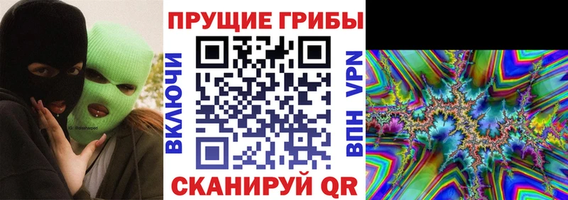 Галлюциногенные грибы Psilocybine cubensis  Купить  Богородск 